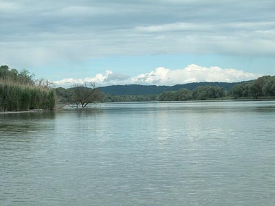 Bisam Jimm: Kanutouren auf der Salzach/Inn